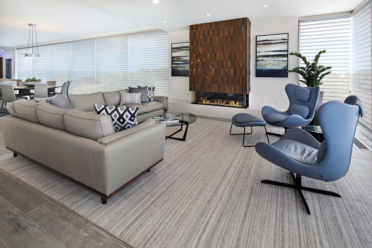 Hunter Douglas Sheer Shades Living Room