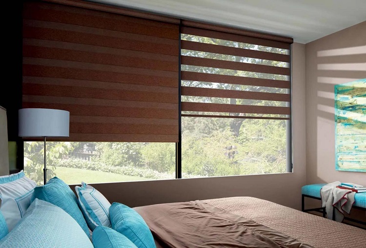Hunter Douglas Banded Zebra Shades