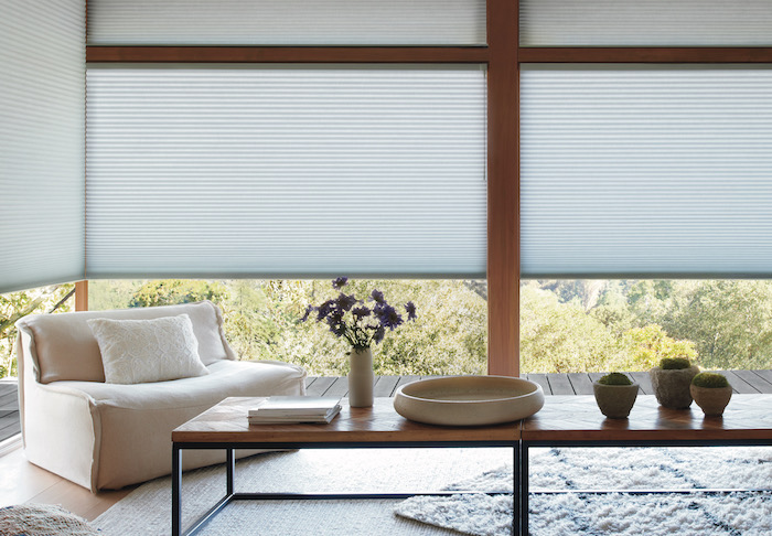Hunter Douglas Duette Cellular Honeycomb Shades