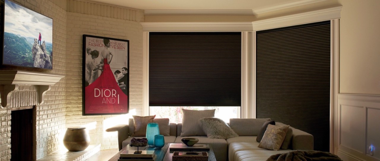 Hunter Douglas Duette Cellular Honeycomb Shades