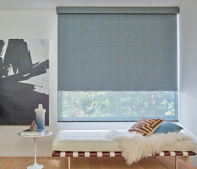 Hunter Douglas Duolite Roller Shades
