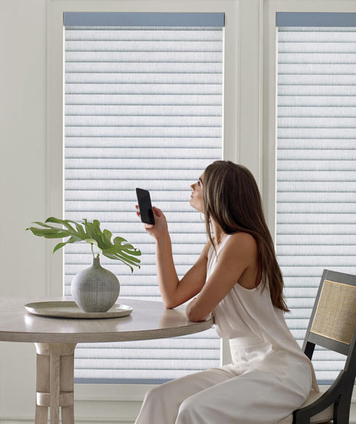 Hunter Douglas Sonnette Cellular Roller Shades