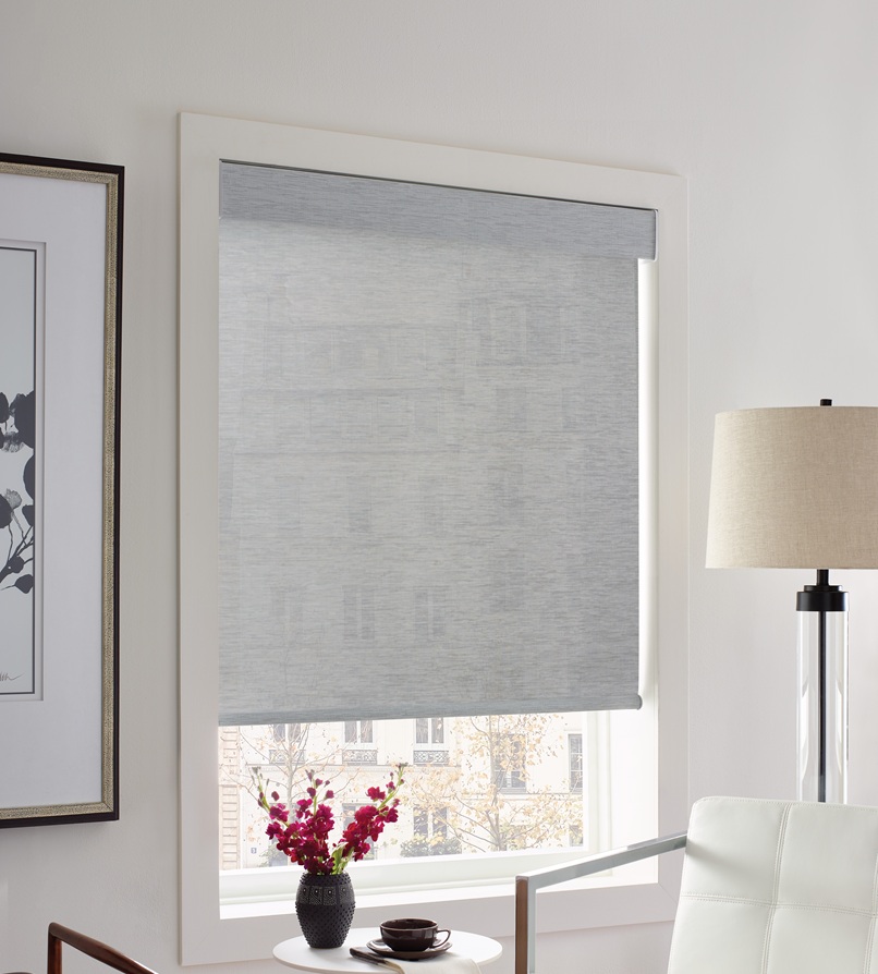 Hunter Douglas Designer Solar Shades