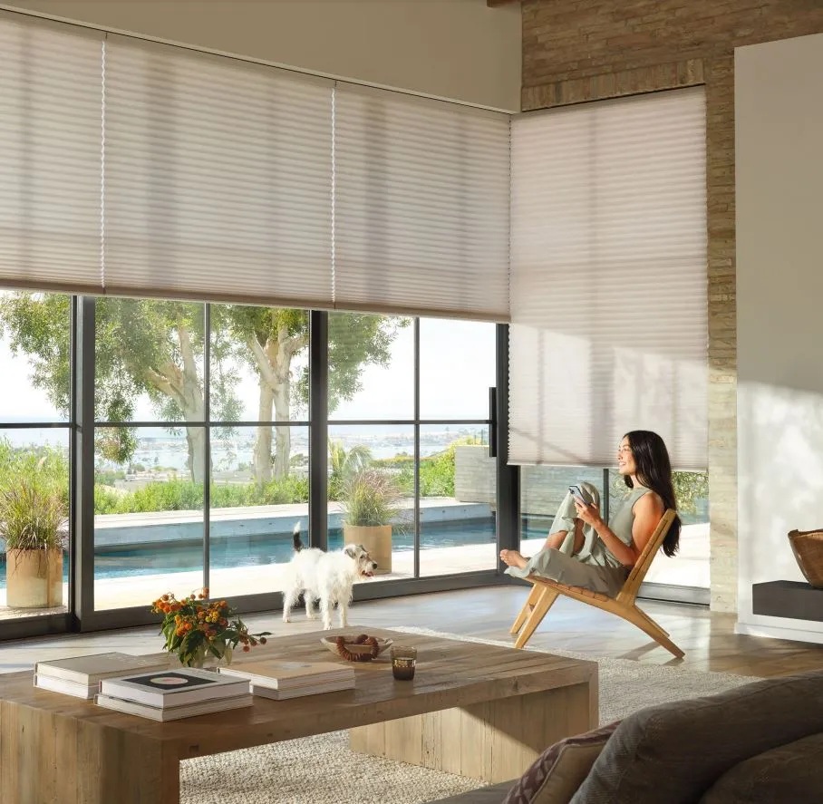 Hunter Douglas Honeycomb Shades Pet Woman by the pool