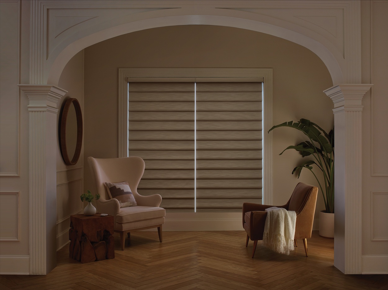 Hunter Douglas Blackout Roman Shade