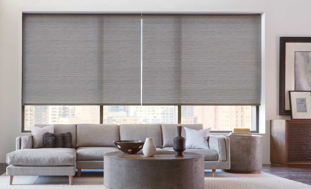 Hunter Douglas Designer Roller Shades