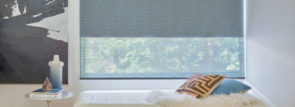 Hunter Douglas Designer Roller Shades