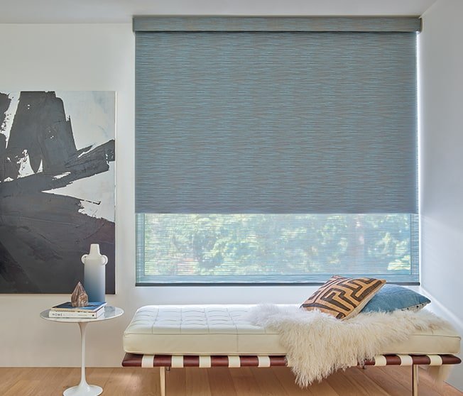 Hunter Douglas Designer Roller Shades