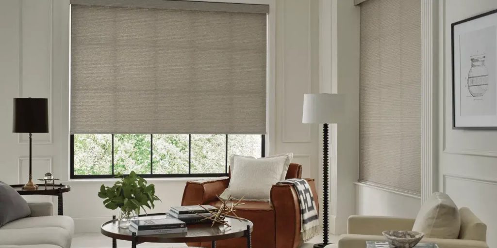 Hunter Douglas Designer Roller Shades