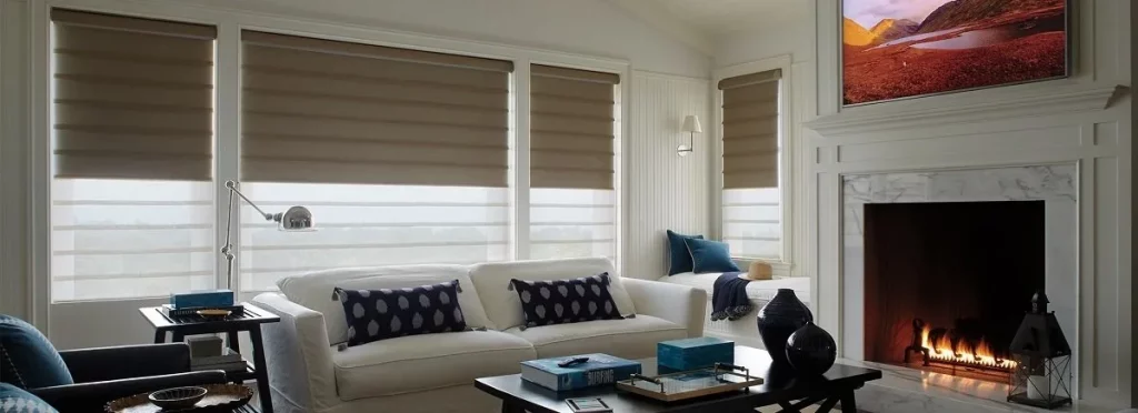 Hunter Douglas Vignette Roman Shades